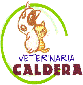 Logo empresa
