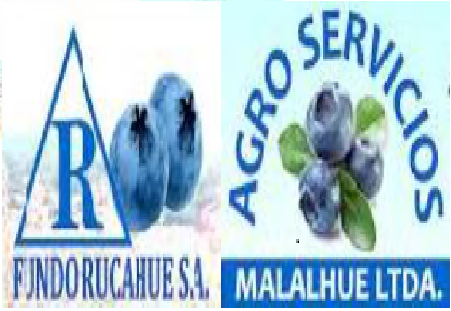 Logo empresa