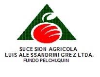 Logo empresa