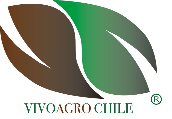Logo empresa